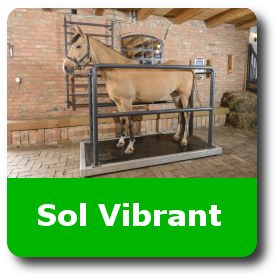 sol vibrant pour chevaux tapis vibreur pour chevaux